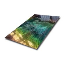 SUS 304 0.9MM Thickness 3D Laser Terraced Fields Pattern SS Mirror Finish Sheet In PVD Rainbow Color Coating