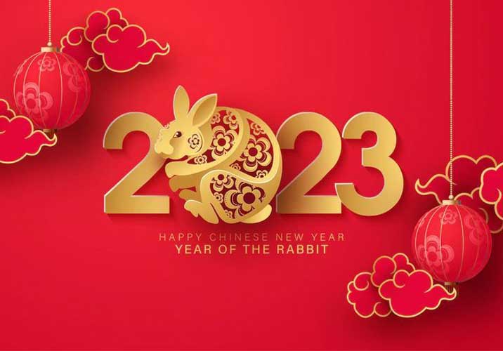 Happy Chinese Spring Festival !